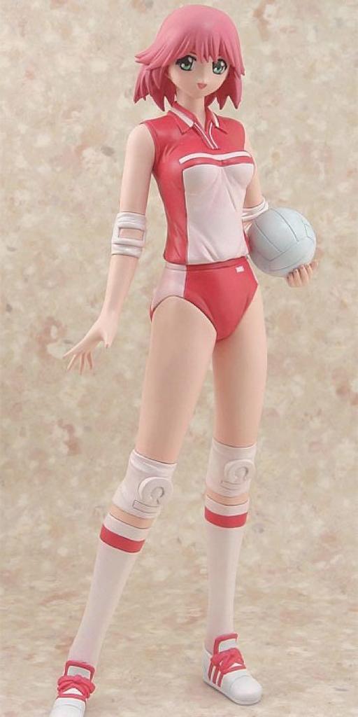 [USED] Tokimeki Memorial Only Love Kasuga Tsukasa Volleyball Club Uniform Ver.