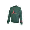Sweatshirts Men's Green Crew Neck Moderate Regular DO9153-333
