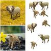 Sheep Animal Figurines, Simulation Zoo Farm for Kids Gift Home Desktop Decor