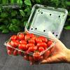 Plastic Fruit Container with Lid