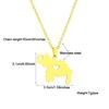 Map Flag Pendant Necklace Clavicle Chain Jewelry Venezuela Symbol Necklace
