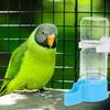 2Pcs Bird Waterer Automatic Bird Cage Water Feeder Sturdy Easy Clean Plastic Water Dispenser for Parrots Parakeets Hamsters