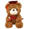 23/28cm Bachelor Bear Plush Toy Cute Bear Animal Doll Doctor Cap Graduation Bear Doll  Party Favors