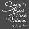 Soapys Book of Words and Pictures by Soapy Paul Paperback Book 9781449079956