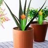 Tulip Self Watering Spike Slow Release Watering System Planter Insert Automatic Watering Tool for Indoor Outdoor Plants