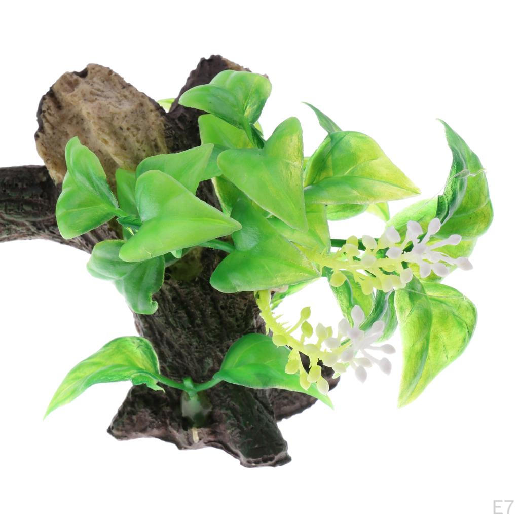 on Driftwood Freshwater Live Aquarium Plant Decorations Tank