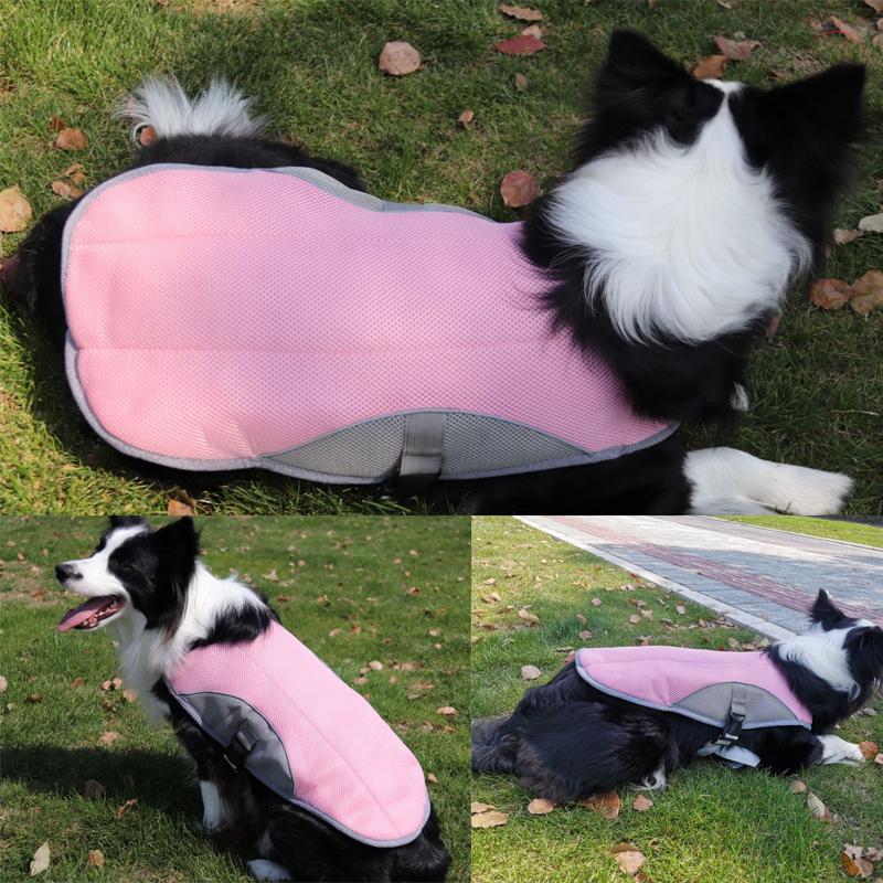Gilet rafraîchissant d'été pour chien, veste réfléchissante pour animaux de compagnie, manteau respirant, vêtements pour chiots