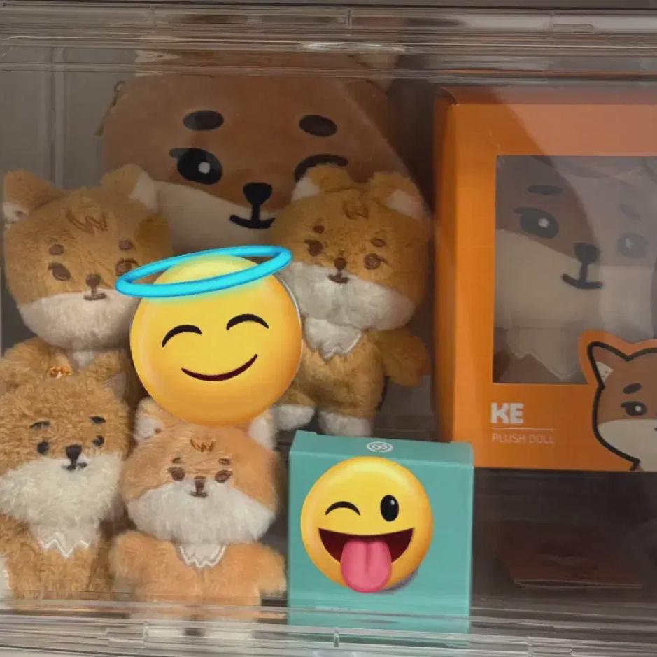 Day6 Young K Kei Doll Pumal Demal Kedung