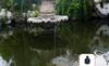 Great for Cloudy Days! GWSOLAR Hybrid "Smart" Solar Pump. Waters for Approximately 3 Hours After Sunset On Clear Days! [7W Solar Panel, Built-in 8.88W