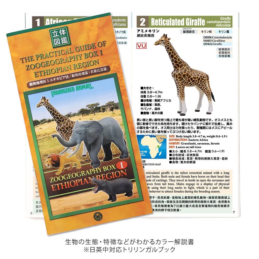 Calorata Animal Geography Zone 1 3D Encyclopedia Ethiopian Animals with Realistic Figures Birthday Gift Sanitation Law Animal Toy Figure Gift (12 /