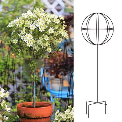 Trellis d'escalade Jasmin Clématite Moulin à vent: Support de plante sphérique en fer forgé Rose et Sauge Bleue