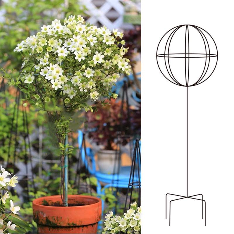

Ветряная мельница Жасмин Клематис Вьющаяся решетка: Сферическая Опора из Кованого Железа с Розой и Синей Шалфеем White Small 50cm