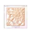 Prism Highlighter (6 Colors)