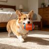 Dog Toys with Sound Latex Chew Balls Raised Texture Teeth Cleaning Flexible Balls Relieve Boredom And Anxiety Chew