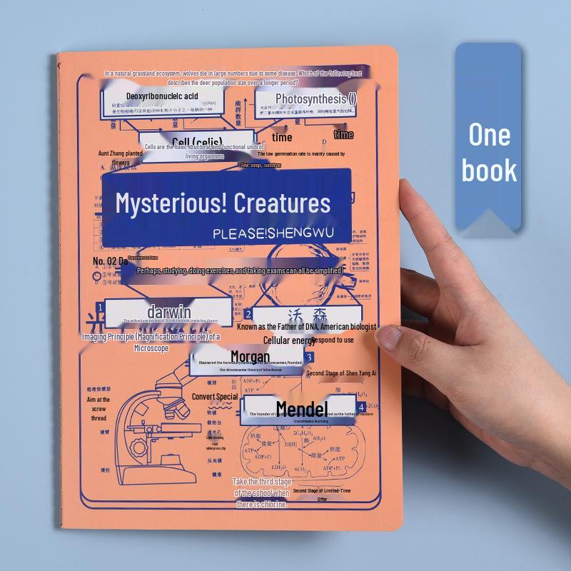 Back to School Creative Prizes: Primary, Junior  Senior High School End-of-Term Rewards