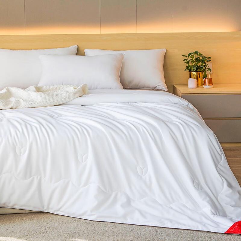 Nanji Ren All-Season Silk Blend Quilt