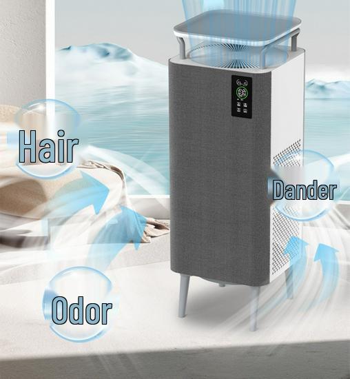 Pet Hair Absorbing Air Purifier with Free Shipping: Removes Cat and Dog Hair, Purifies Air