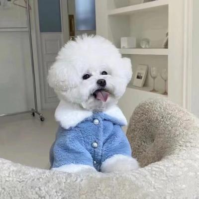 Ropa para gatos y perros, abrigo de invierno grueso y cálido para perros Schnauzer peludos, osos de peluche, Shiba, abrigo mediano, ropa de algodón