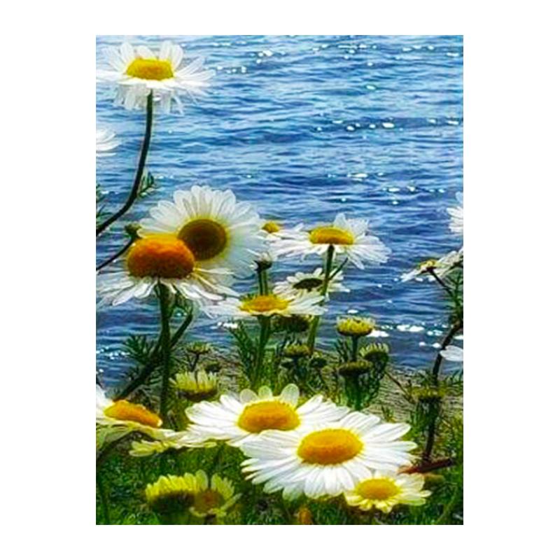 5D DIY sada na maľovanie diamantov Umenie Daisy Art Diamantové vyšívanie kamienkové ozdoby pre domácnosť