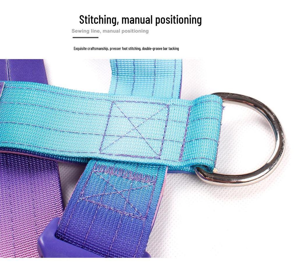 Adjustable Gradient Nylon Dog Harness for Medium To Large Dogs