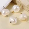2pcs Irregular Round Three-Dimensional Real Shell Pearl Charm For Jewelry Making Supplies Handmade Sea Beach Accessories Pendant