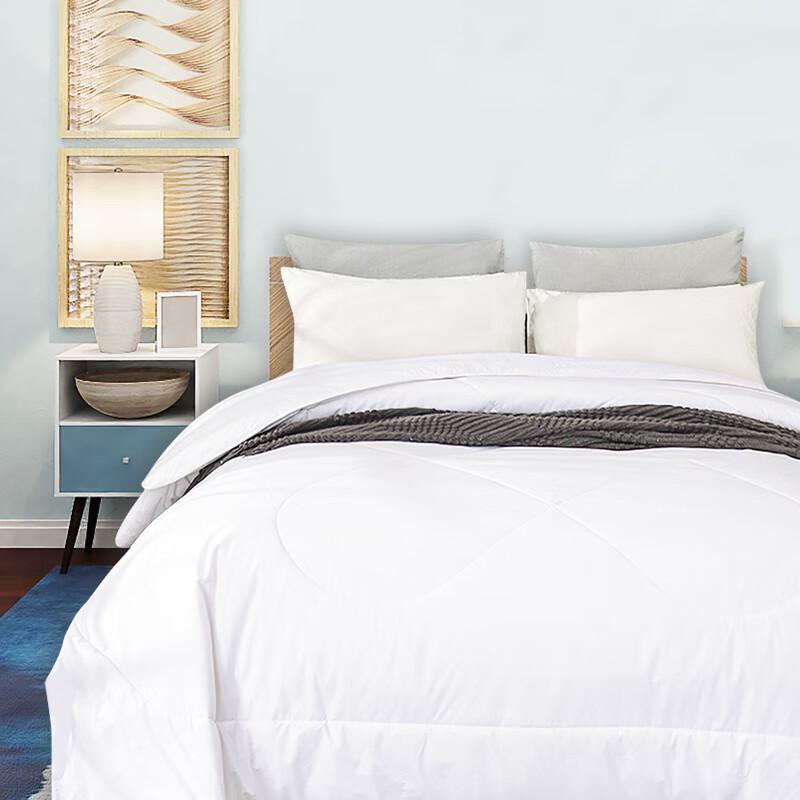 

HEJIAN Thickened Pure Wool Duvet