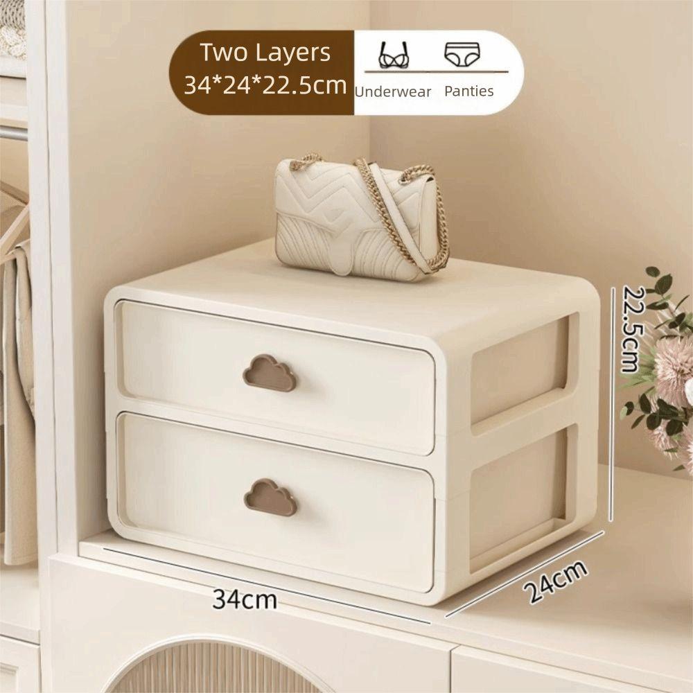 

Органайзер для трусів та шкарпеток висувного типу, класифікатор для одягу, для домашнього використання 2 Layers