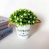 Plant Artificial Gypsophila Pot For Party Styling And Outdoor Display Decoration