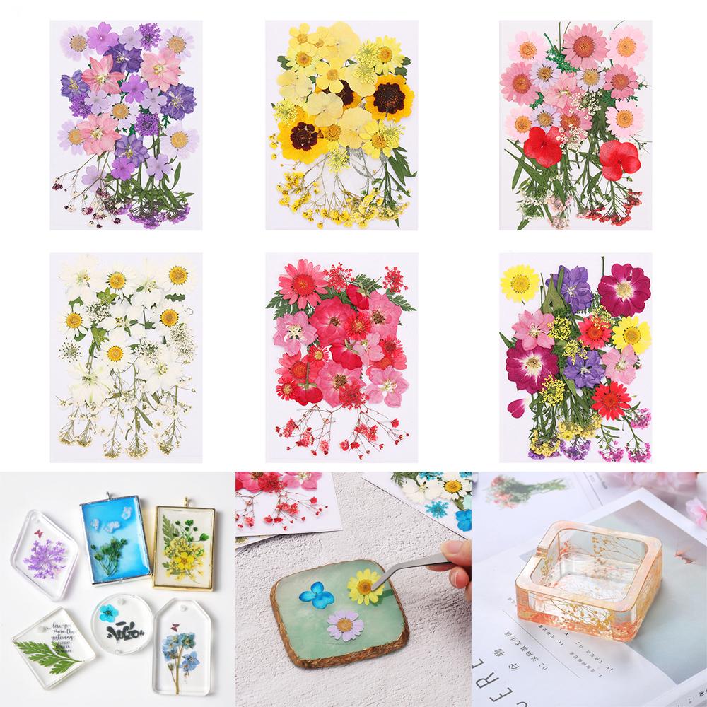 Dried Flowers UV Resin Decorative Natural Flower Stickers 3D Pressed Dried Flowers Beauty Decal Nail Art Epoxy Mold Filling