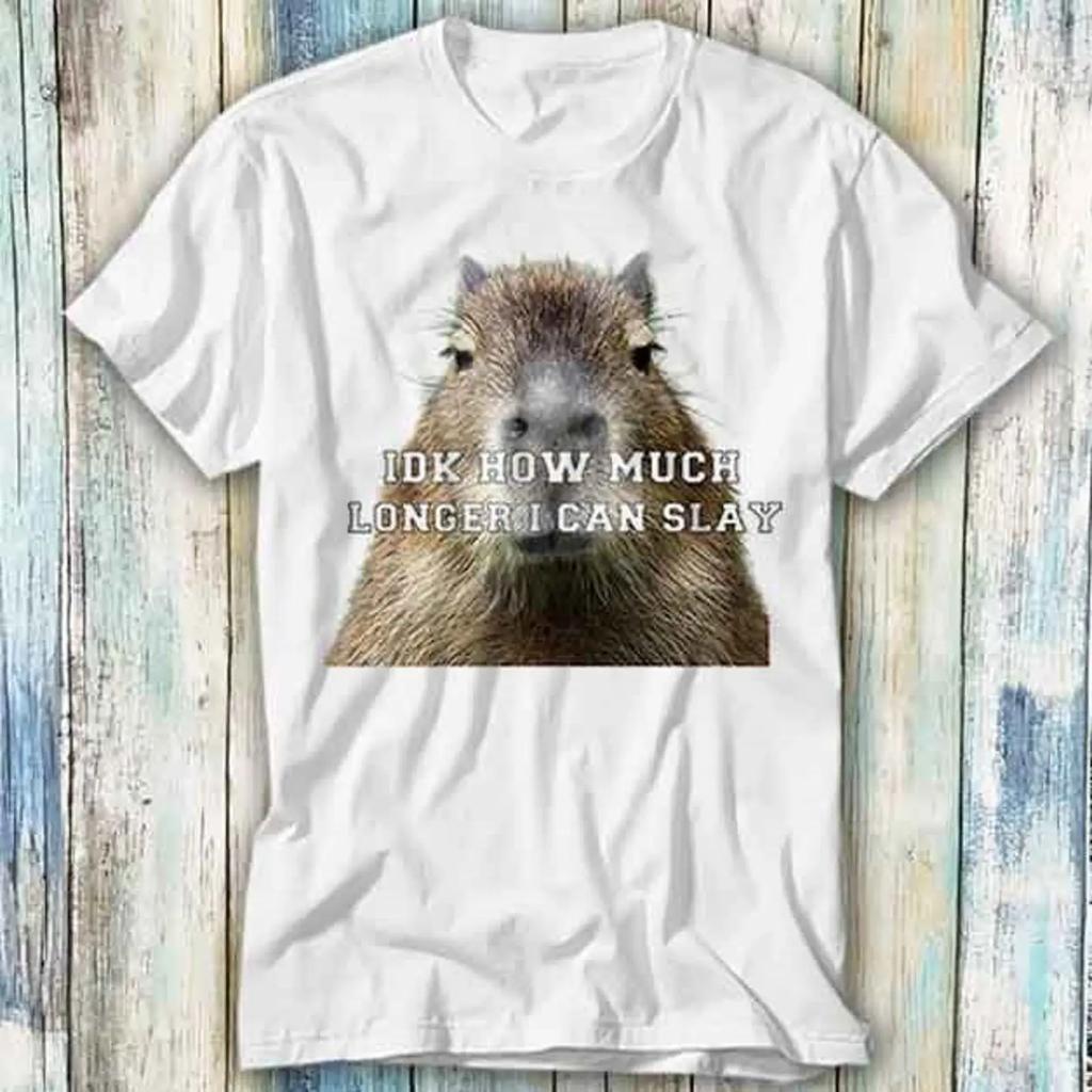 Idk How Much Longer I Can Slay Capybara T Shirt Meme Geschenk Top 654 Vintage Designer Clothes Soft Homme Unisex Casual