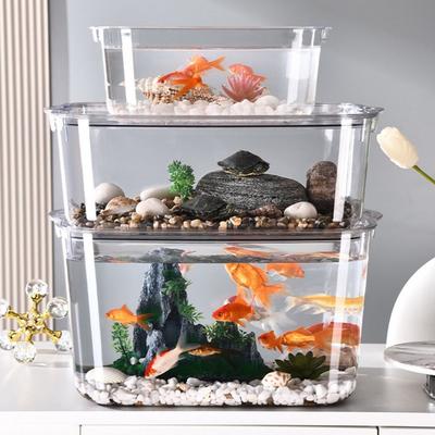 Fall Prevention Explosion-proof Plastic Fish Tank PET Transparent Tabletop Fish Tank Small Ecological Water Tank
