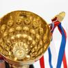 Metal Gold Awards Trophy Model Winner Award Trophy Toy Corporate Trophy  for Team Sport Competition