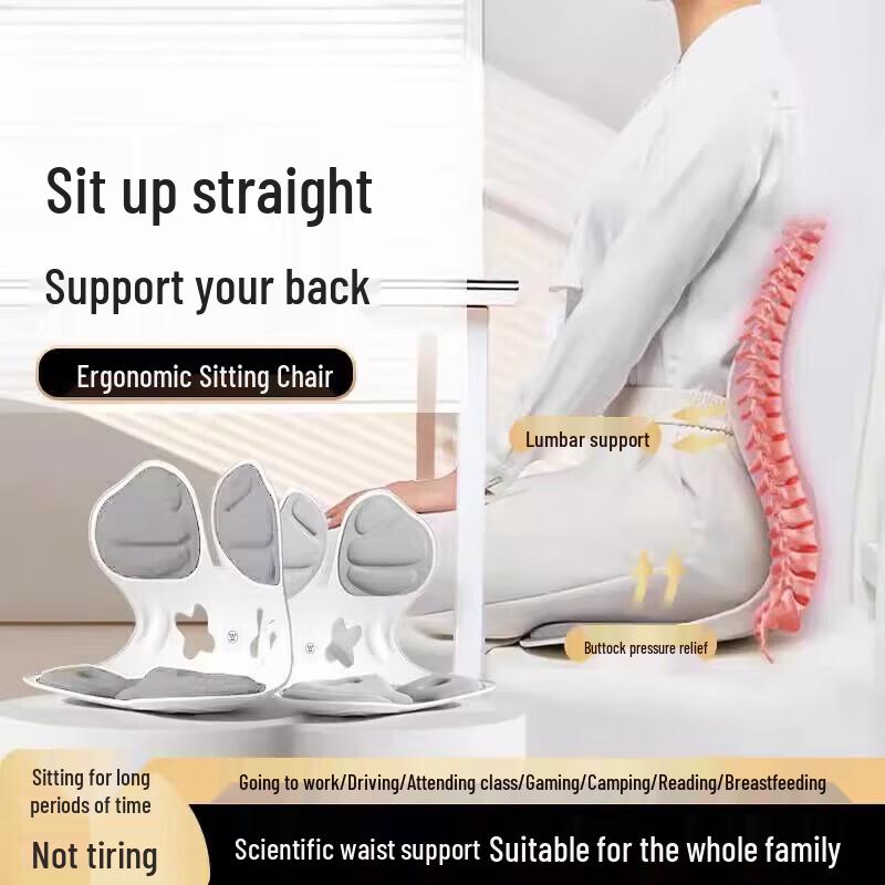 Westinghouse WJZ-K1 Ergonomic Lumbar Support