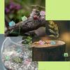 40 Pcs Luminous Mini Resin Animals Tiny Resin Owls Glow In The Dark for Garden Miniatures Fairy Garden Accessories Plant Decorations and Car Accessori