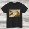 Neues lustiges orange getigertes Katzen T-Shirt Michelangelo Parodie S 5XL Vintage Unisex Bequem Atmungsaktiv