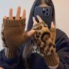 Women's Autumn And Winter Rabbit Fur Gloves Plus Velvet Thickened Windproof And Warm Riding Cold-proof Touch Screen Suede Gloves