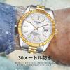 Aishaba Men's Automatic Watch 38mm Waterproof Luminous Classic Design Analog Fashion Business Quartz Watch