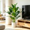 67-112cm Large Artificial Plants Bird of Paradise Tree Tropical Fake Banana Leaves Plastic Palm Plants for Home Garden Decor