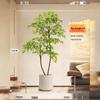 Large Indoor Potted Nandina Domestica Faux Plant - Luxury Green Décor for Living Room