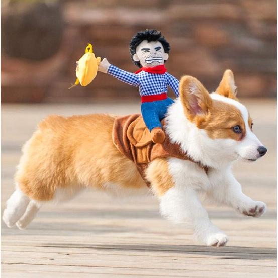 Xiaoyu Pet Dog Cat Halloween Costume, Riding Horse Style Costume, Funny Pet Knight Style Clothing for Dog Cat Cosplay, L