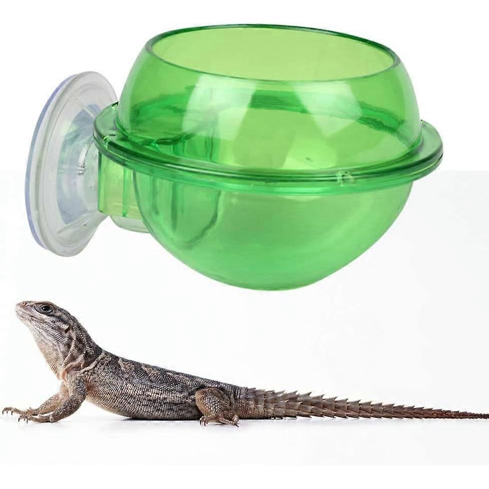 Saugnapf Reptilien Futterspender Futter Napf Schale Tablett für Schlange Schildkröte Gecko Terrarium Reptilien Futterspender Grün 1 Stück