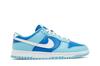 Nike Dunk Low Retro QS Argon (2022) Men's Sneakers