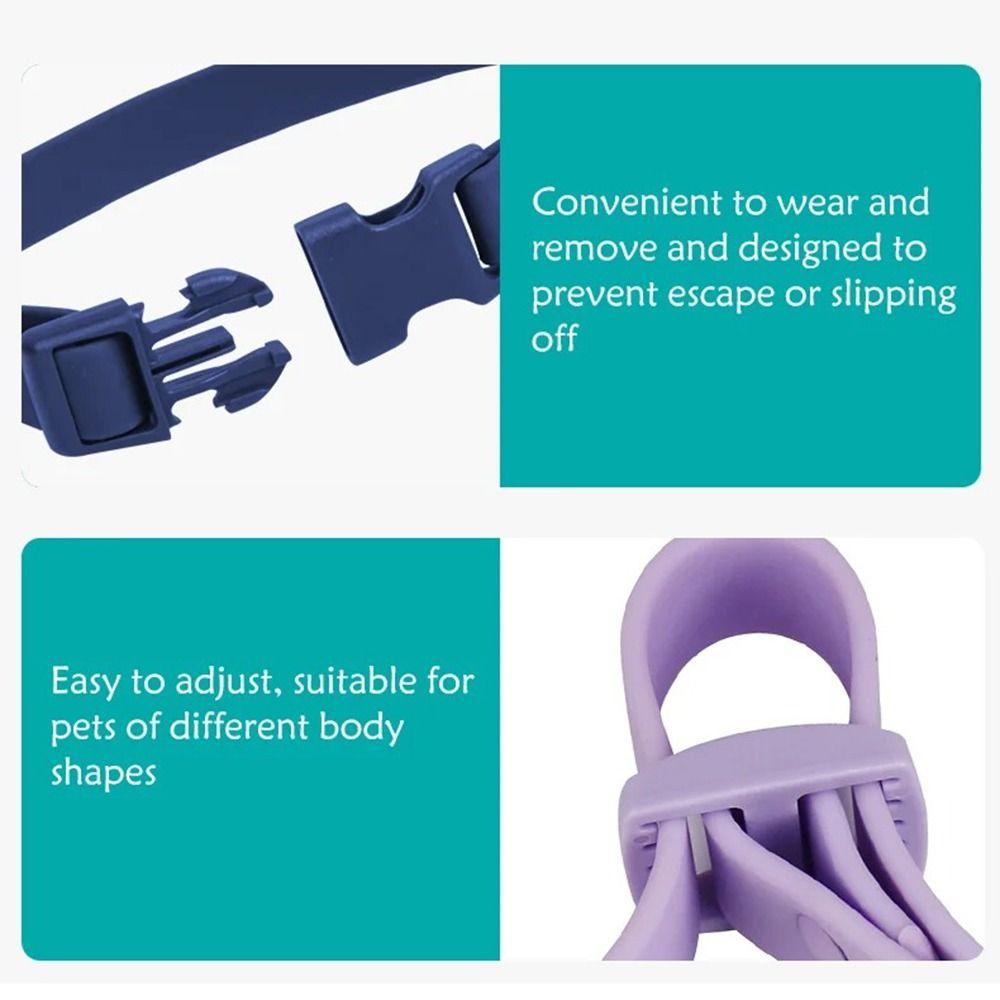 Pet Identification Pet Collar Elastic Webbing Safety Buckle Chain Waterproof Dog Collar  Puppies