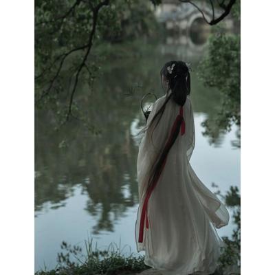 Chinese Wei And Jin Dynasties Style Hanfu For Women Cross-collar Wide-sleeved Top And Fairy Skirt Elegant Dress