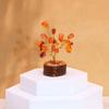 Carnelian Gemstone Tree With Wood Base 15 Stones