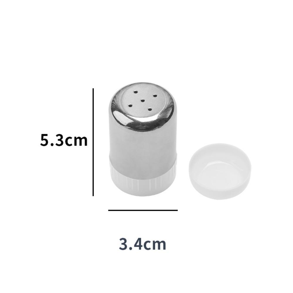 Stainless Steel Salt Shaker with Dust Cover Condiment Jar Mini Seasoning Bottle  Kitchen