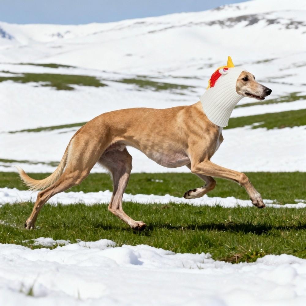 Funny Warm Dog Head Cover Cartoon Soft Dog Decorative Hat Comfortable Fashion Pet Knitted Hat For Dogs