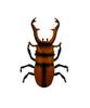 Doyusha IRC Running Insect Series Sawtooth Stag Beetle Electric Infrared Control NO.9996-G