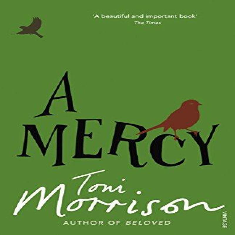 A Mercy by Toni Morrison Paperback Book 9780099502548