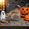 Accesorii de petrecere – Accesorii de Halloween
